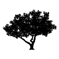 Symbool natuur boom
