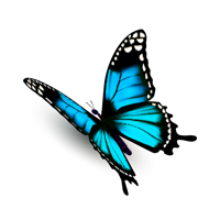 Symbool natuur vlinder