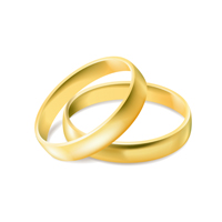 Symbool Ringen getrouwd kleur